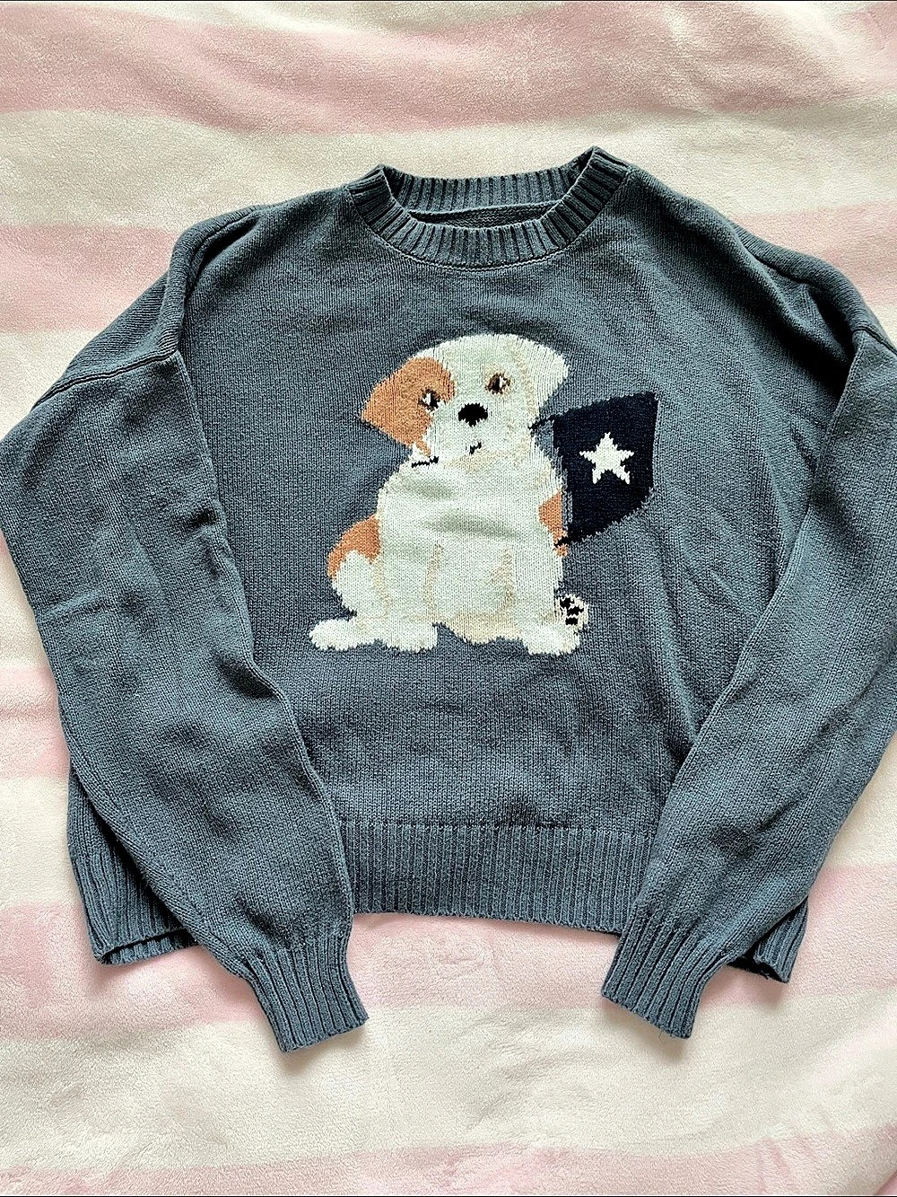 Hollister Easy Dog Graphic Crew Sweater Gray & White XXS